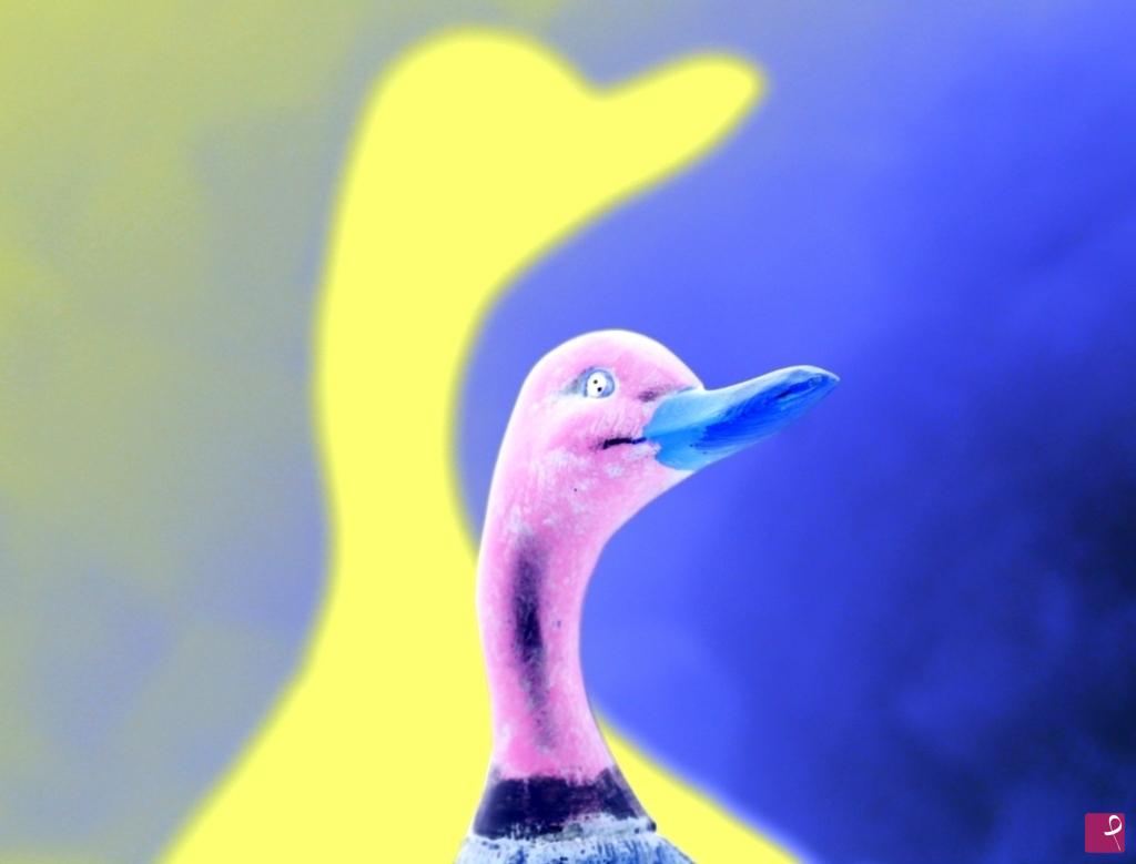 quadri in vendita online - Fantasy Duck