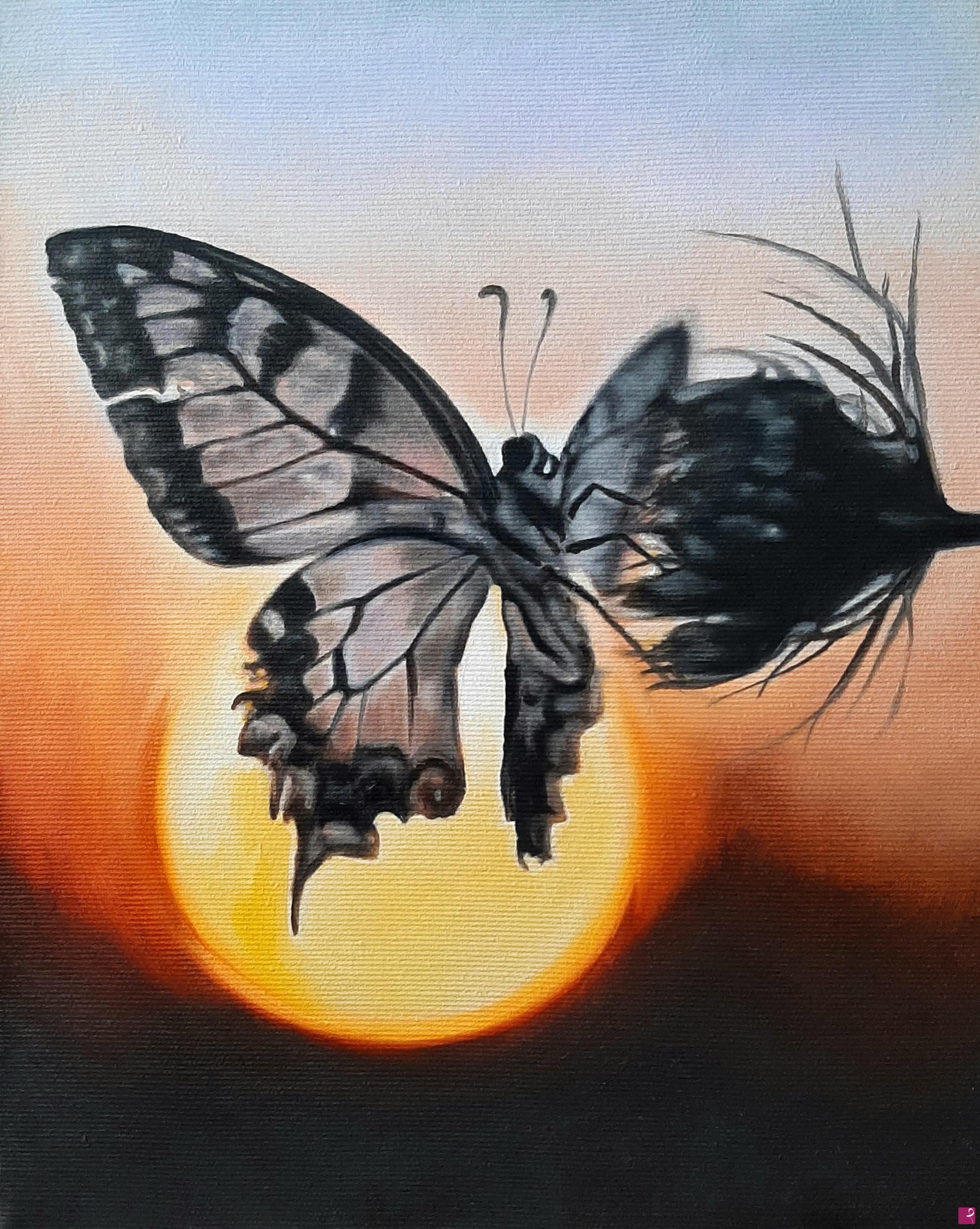 quadri in vendita online - Farfalla al tramonto