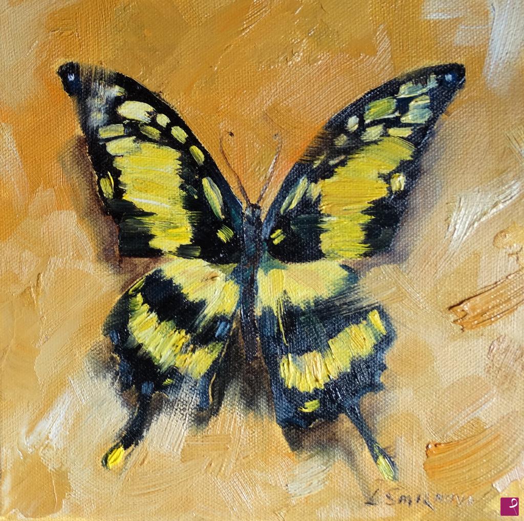 quadri in vendita online - Farfalla Papilio cresphontes