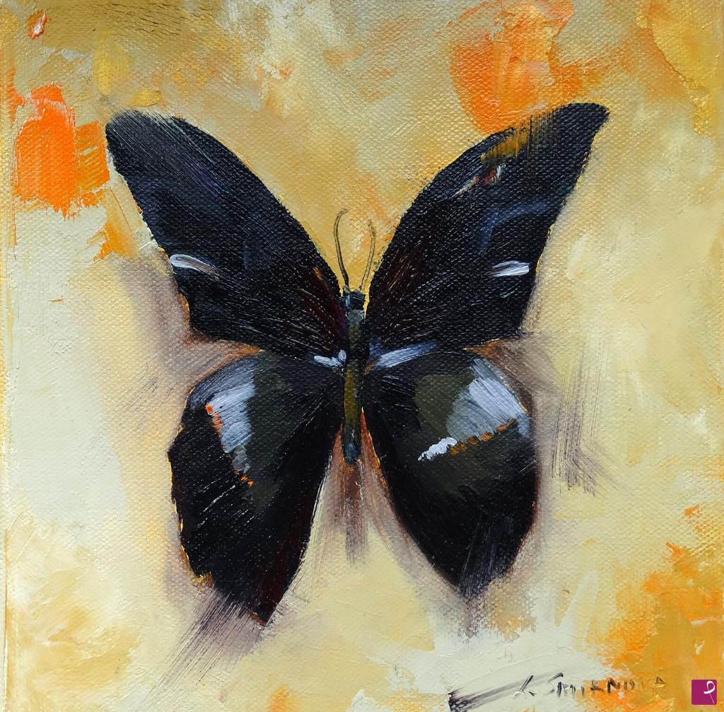 quadri in vendita online - Farfalla Papilio deiphobus