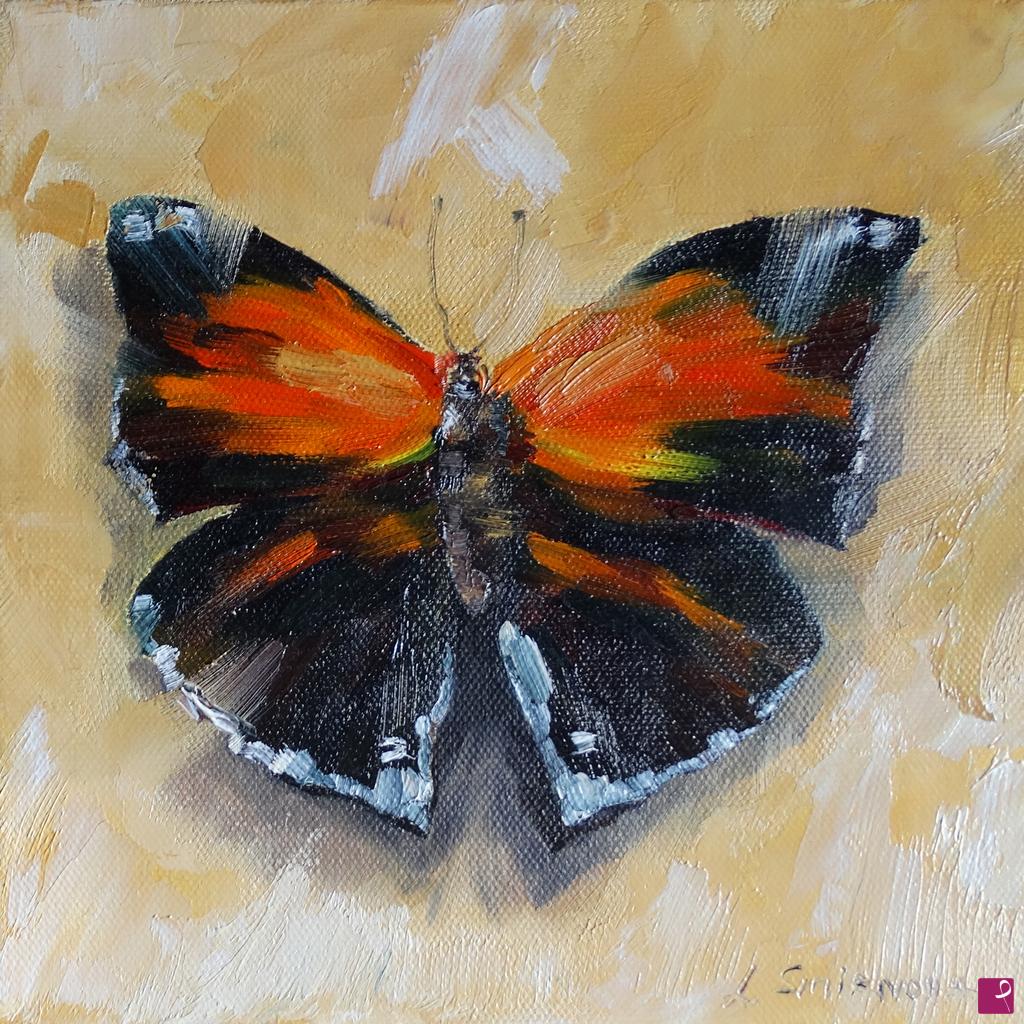 quadri in vendita online - Farfalla Papilionoidea sul giallo.