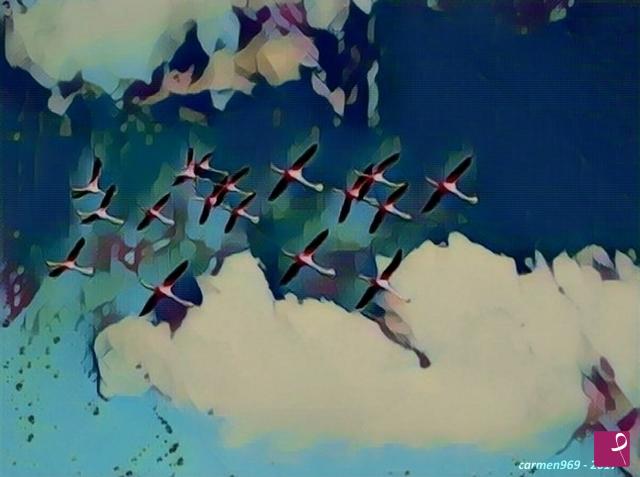 quadri in vendita online - Fenicotteri in volo