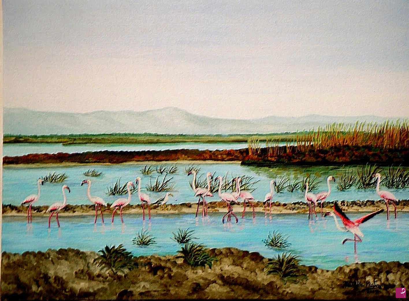 quadri in vendita online - Fenicotteri rosa
