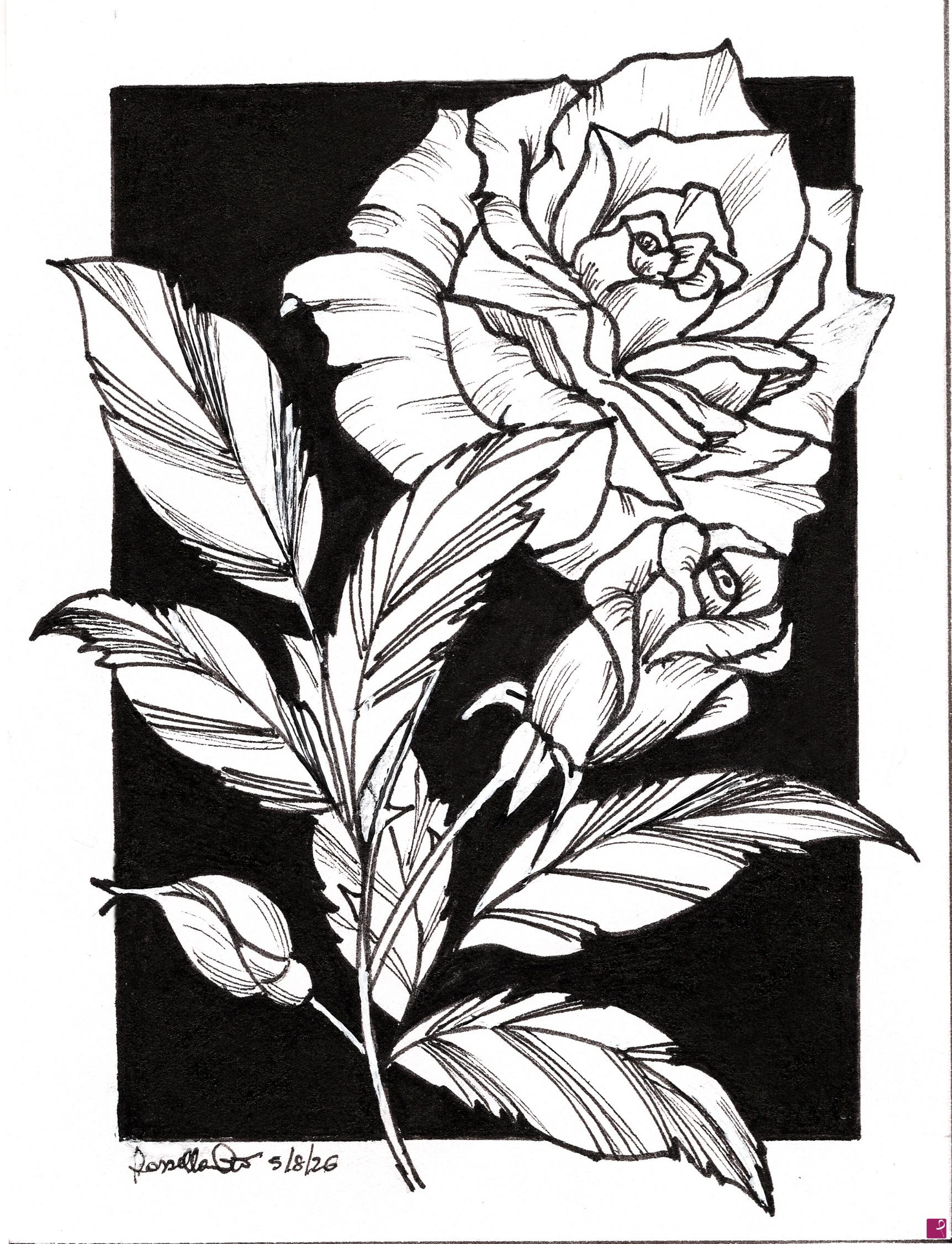 quadri in vendita online - Fineliners Roses