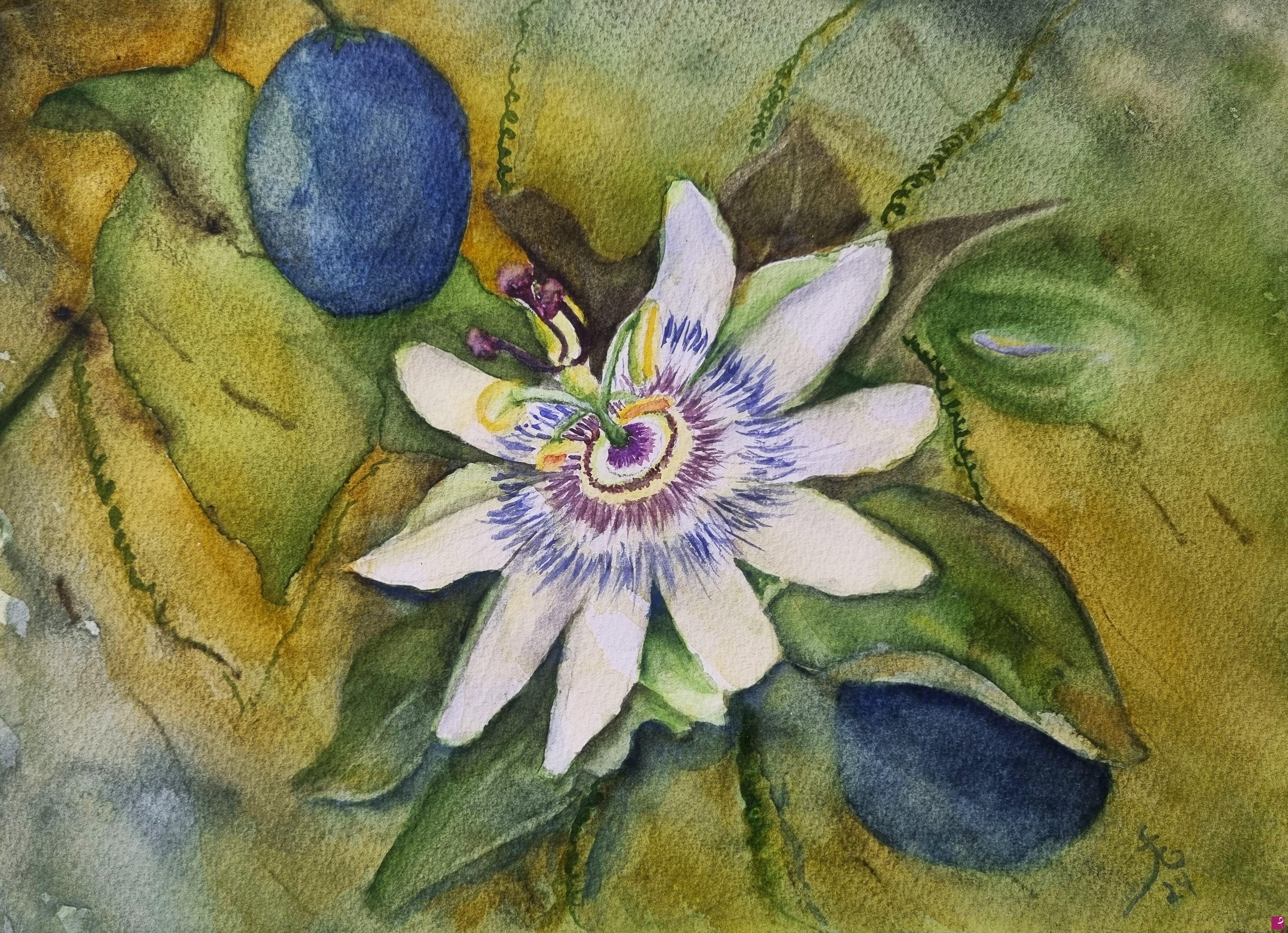quadri in vendita online - Fiore del Frutto della Passione Blu