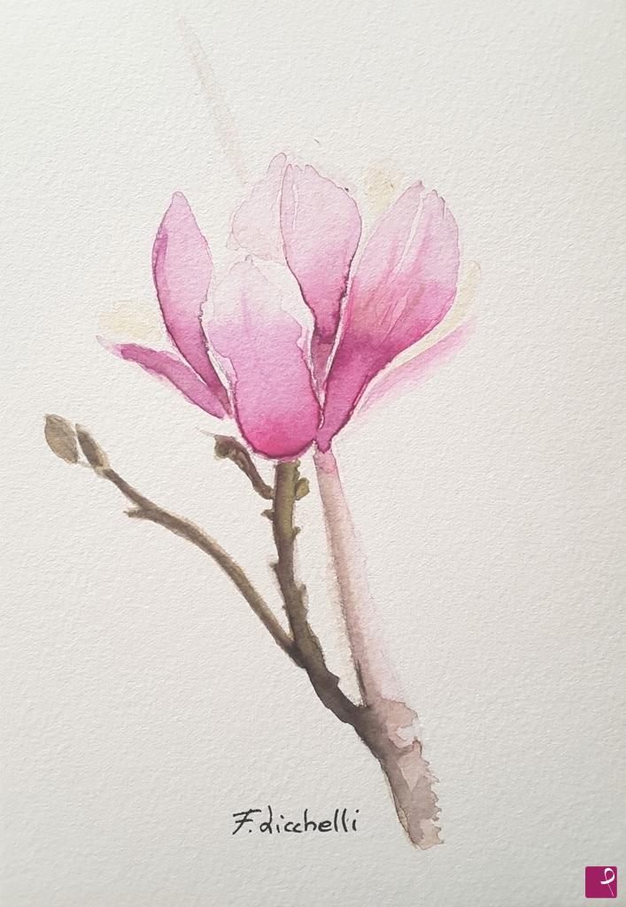quadri in vendita online - Fiore di Magnolia 