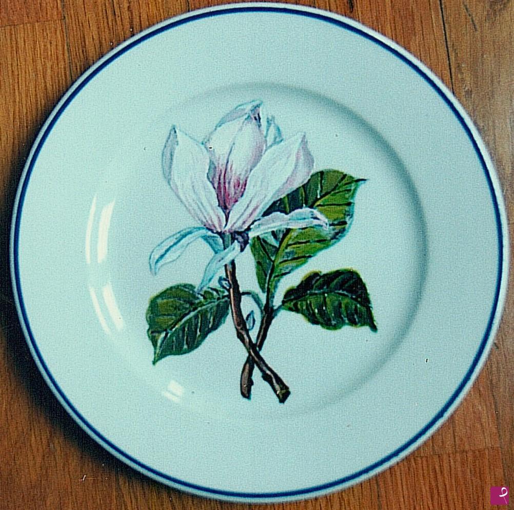 quadri in vendita online - Fiore di Magnolia
