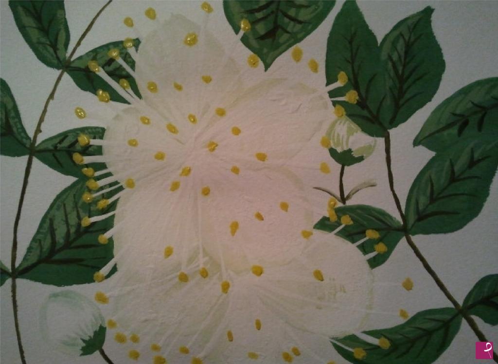 quadri in vendita online - fiore di mirto