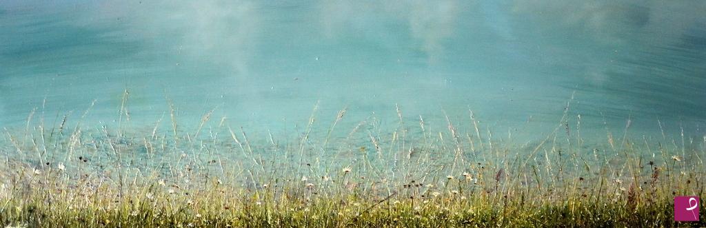 quadri in vendita online - Fiori, acque, nuvole