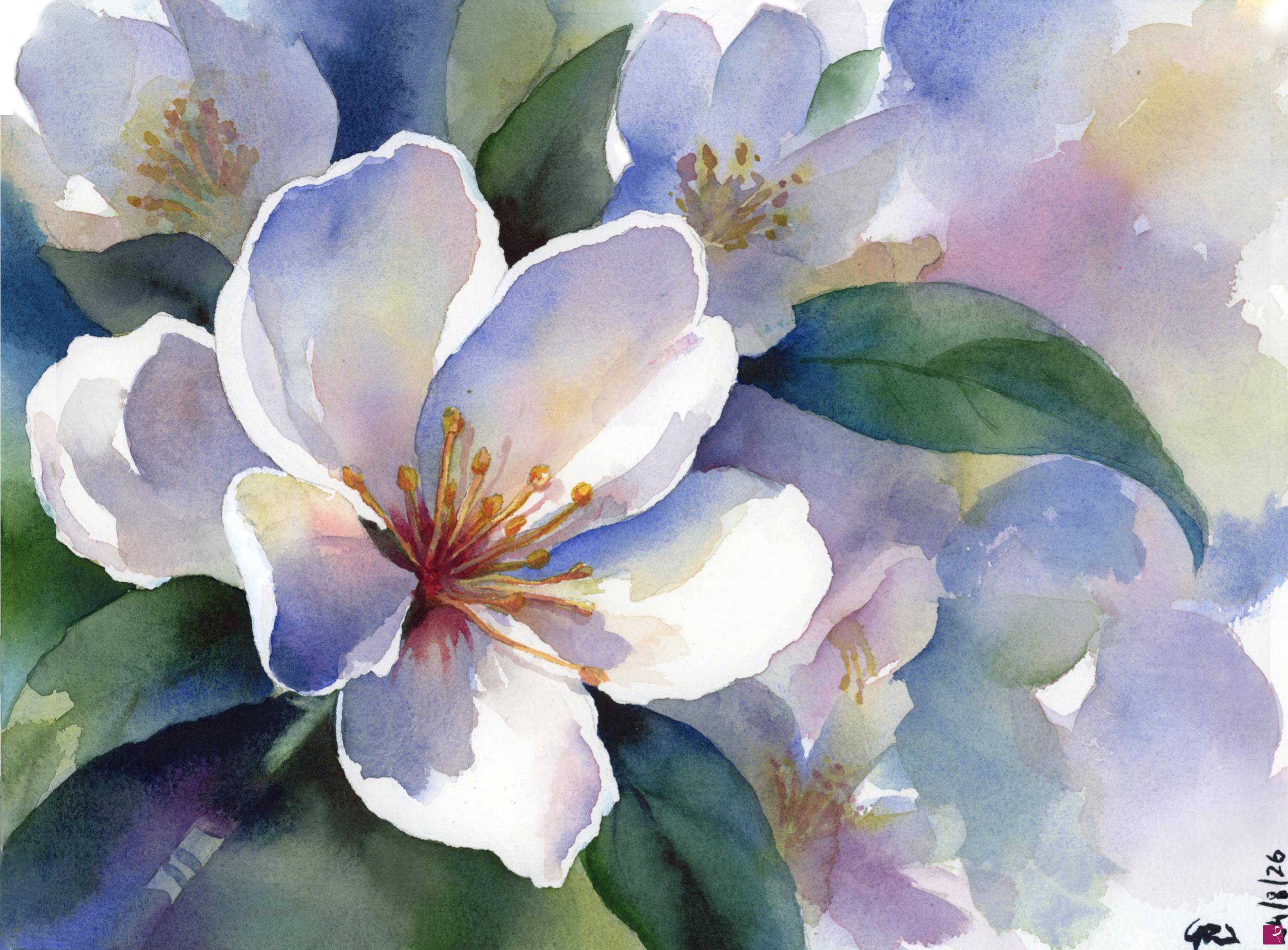 quadri in vendita online - Fiori Bianchi