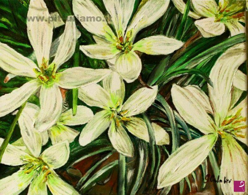 quadri in vendita online - Fiori bianchi in primo piano