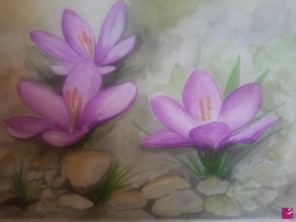 quadri in vendita online -  Fiori del Crocus " Zafferano "