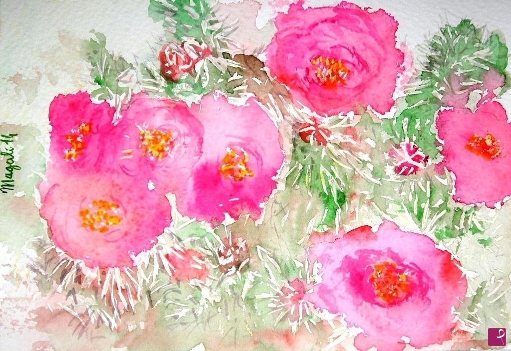 quadri in vendita online - fiori di cactus - Magalì