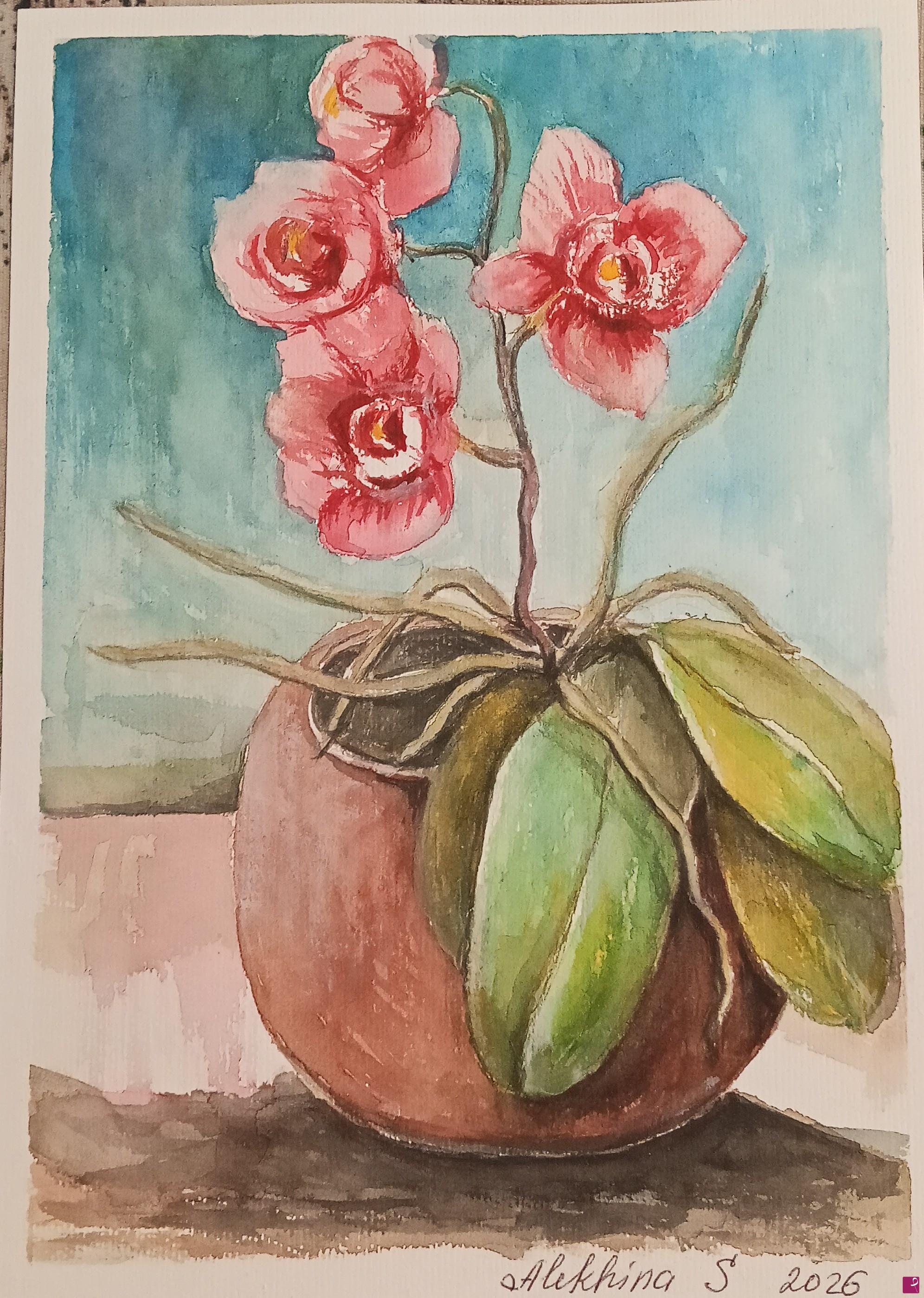 quadri in vendita online - Fiori di casa 