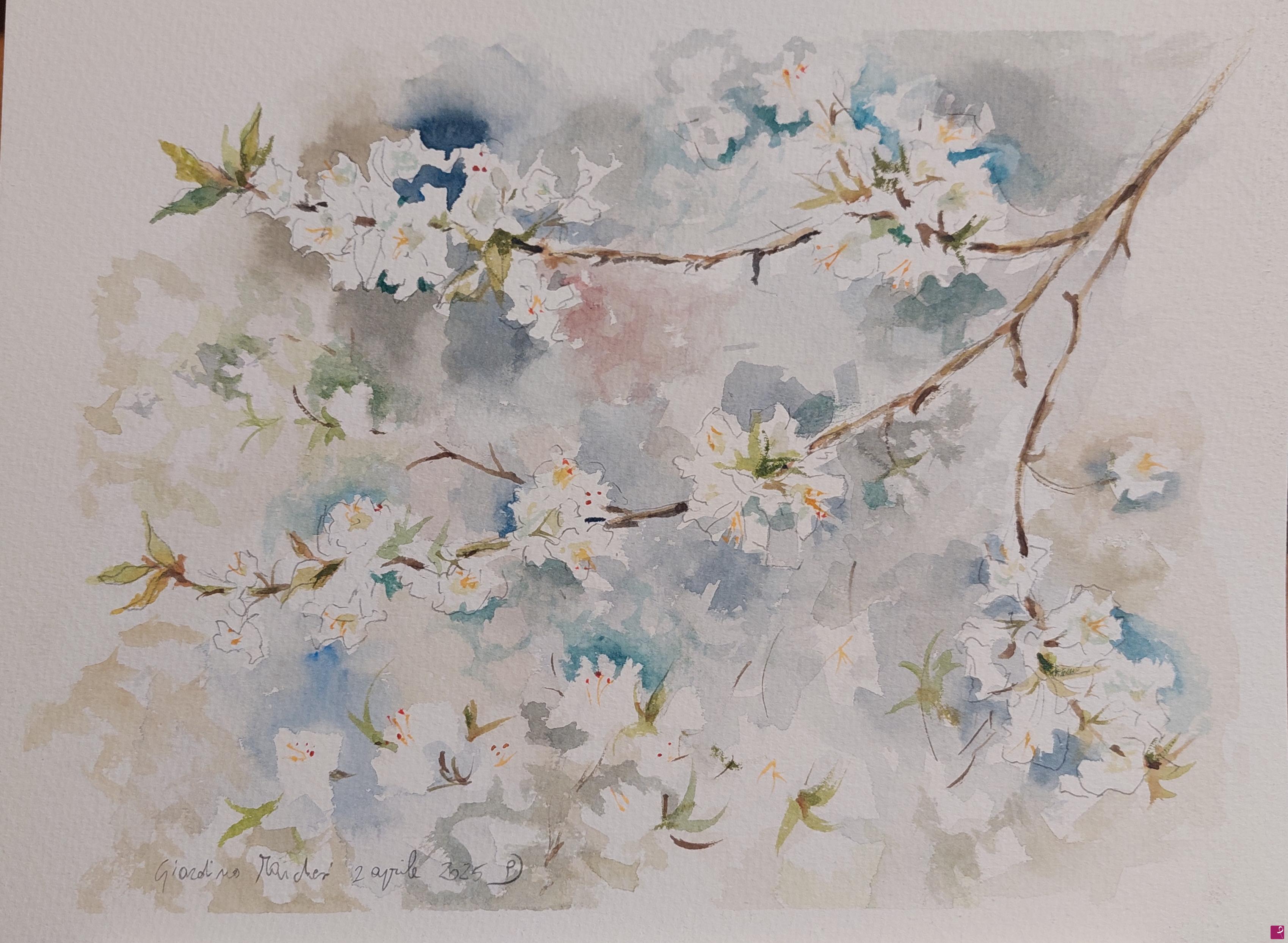 quadri in vendita online - Fiori di ciliegio 