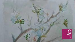 quadri in vendita online - Fiori di ciliegio