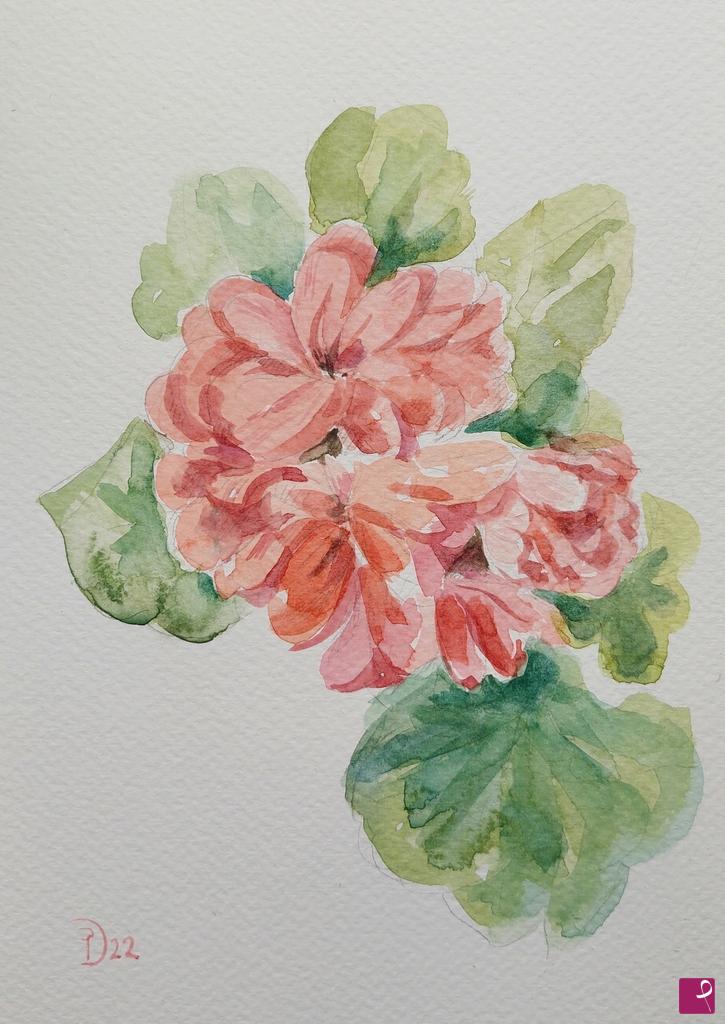 quadri in vendita online - Fiori di geranio