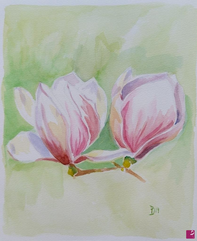 quadri in vendita online - Fiori di Magnolia