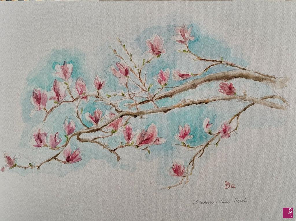 quadri in vendita online - Fiori di magnolia