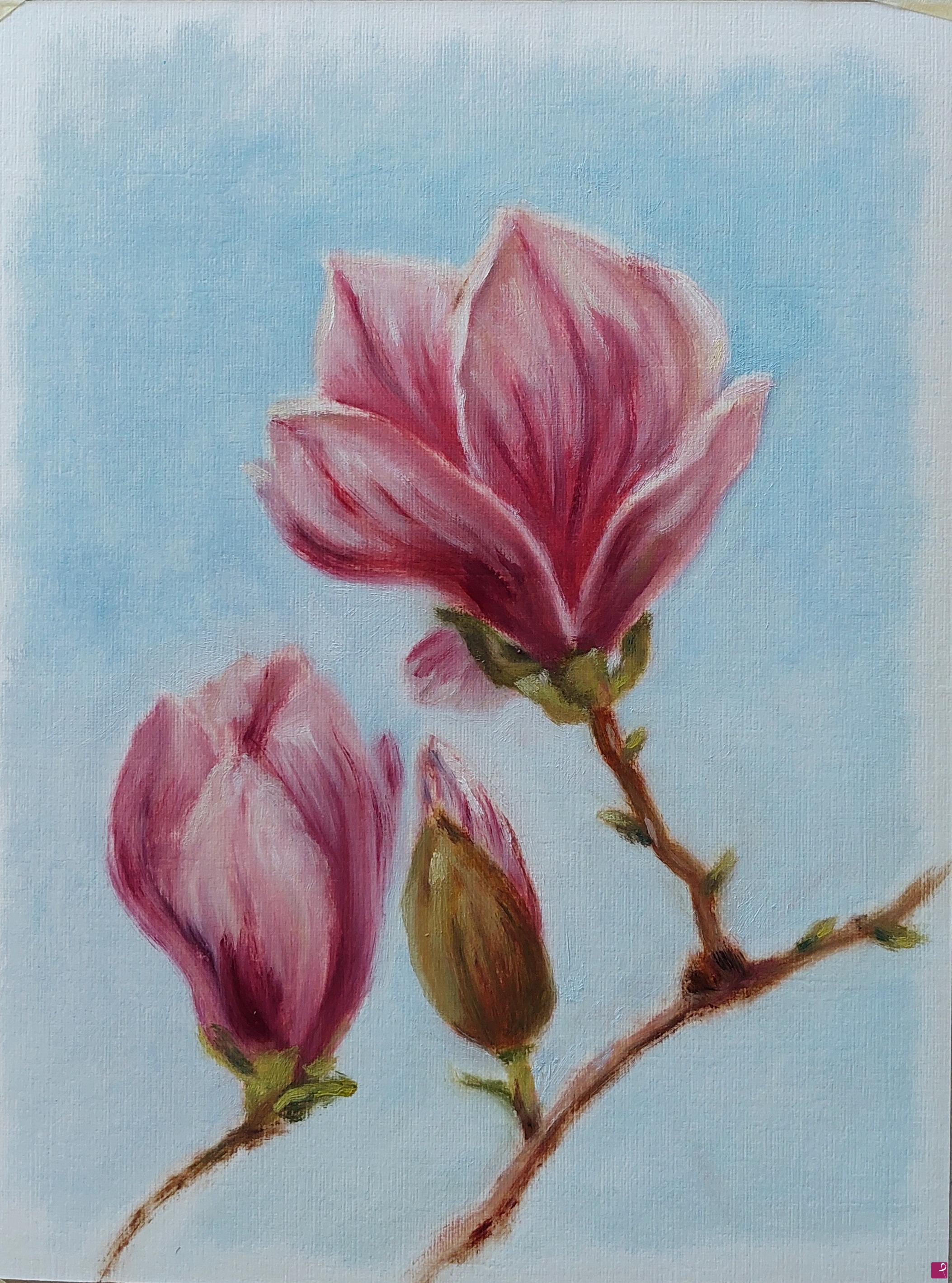 quadri in vendita online - Fiori di magnolia