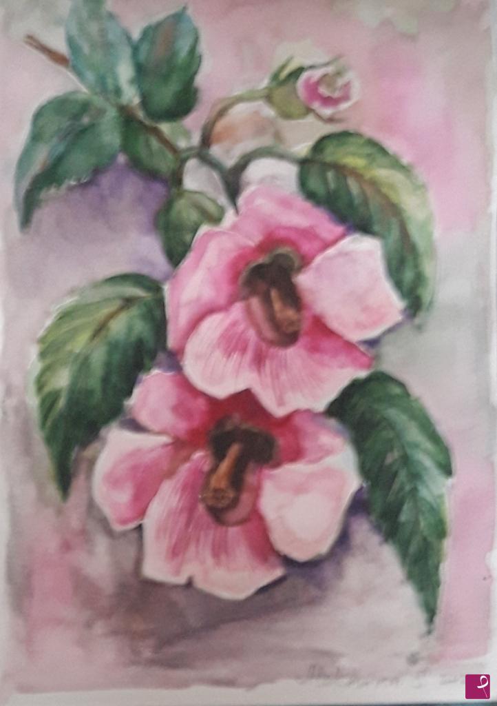 quadri in vendita online - Fiori di malva