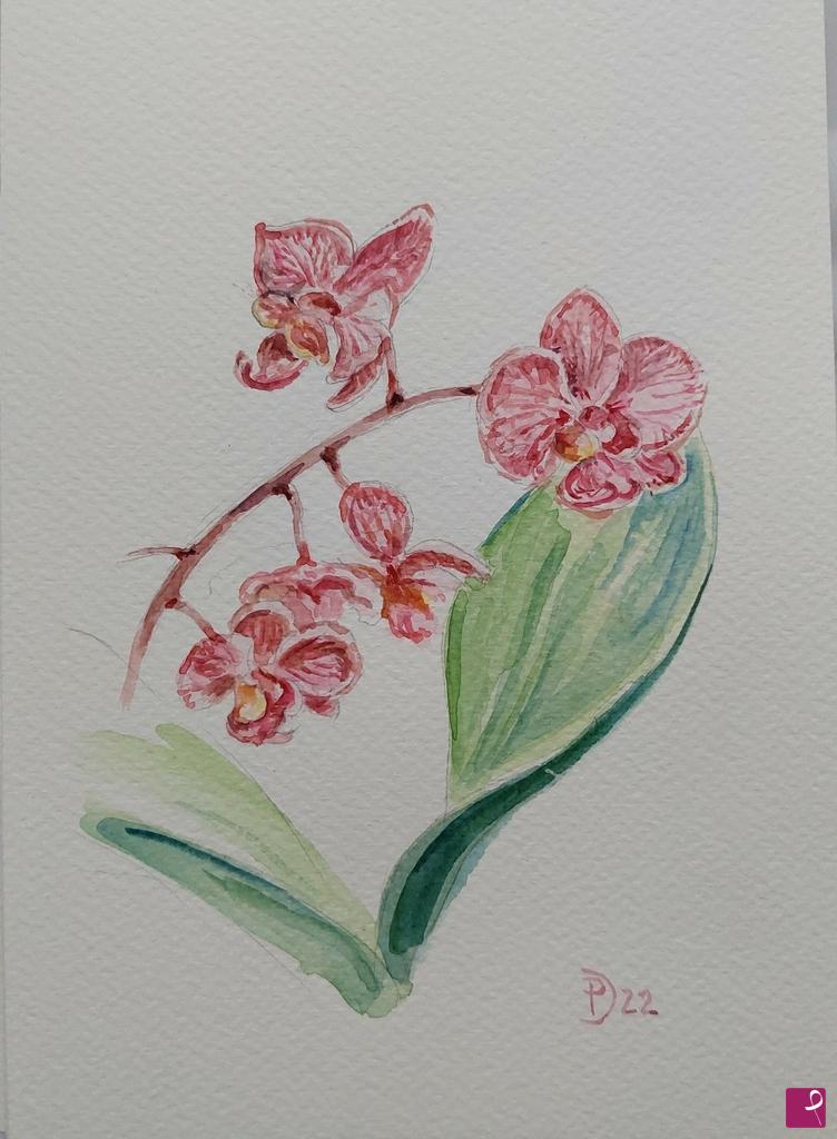 quadri in vendita online - Fiori di orchidea