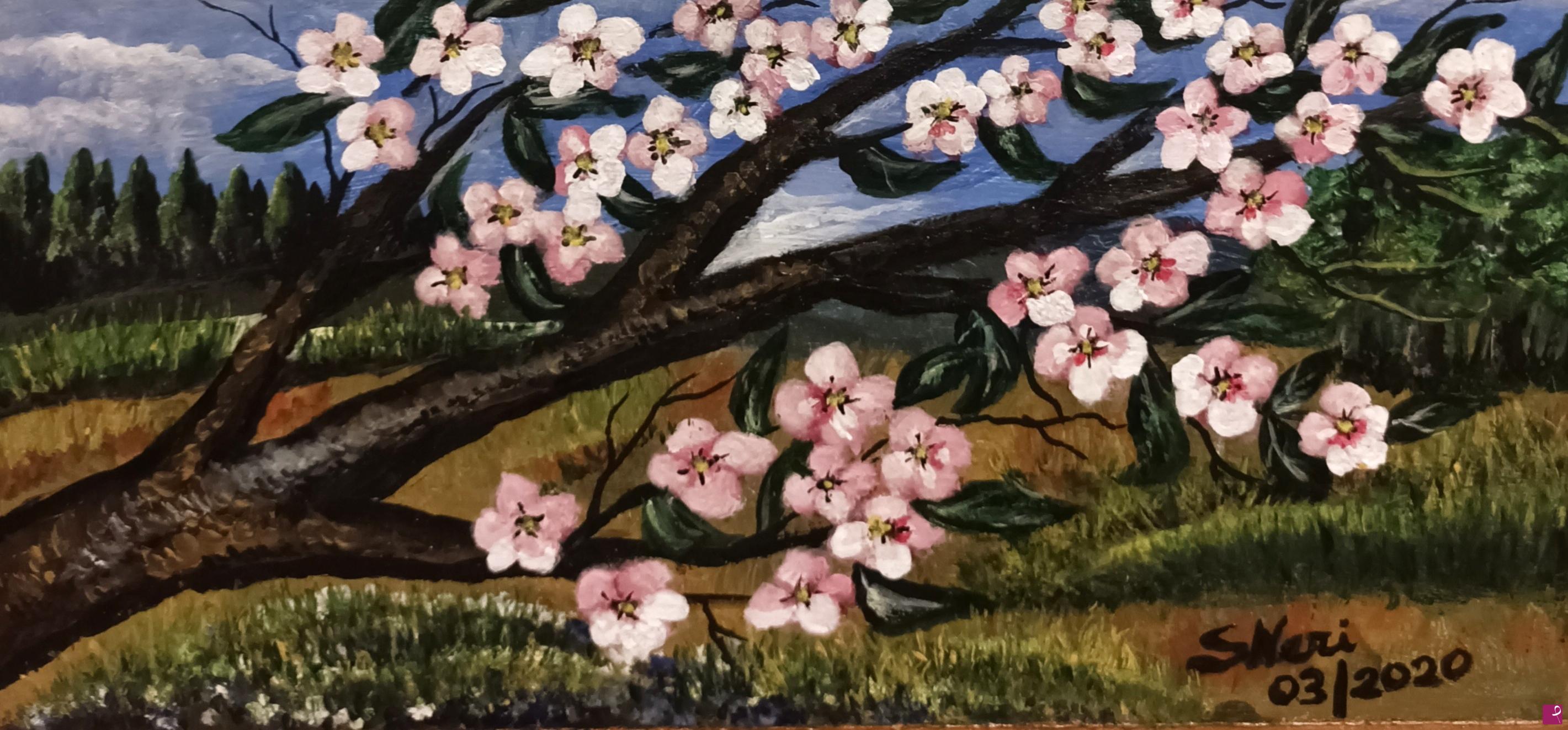 quadri in vendita online - Fiori di pesco