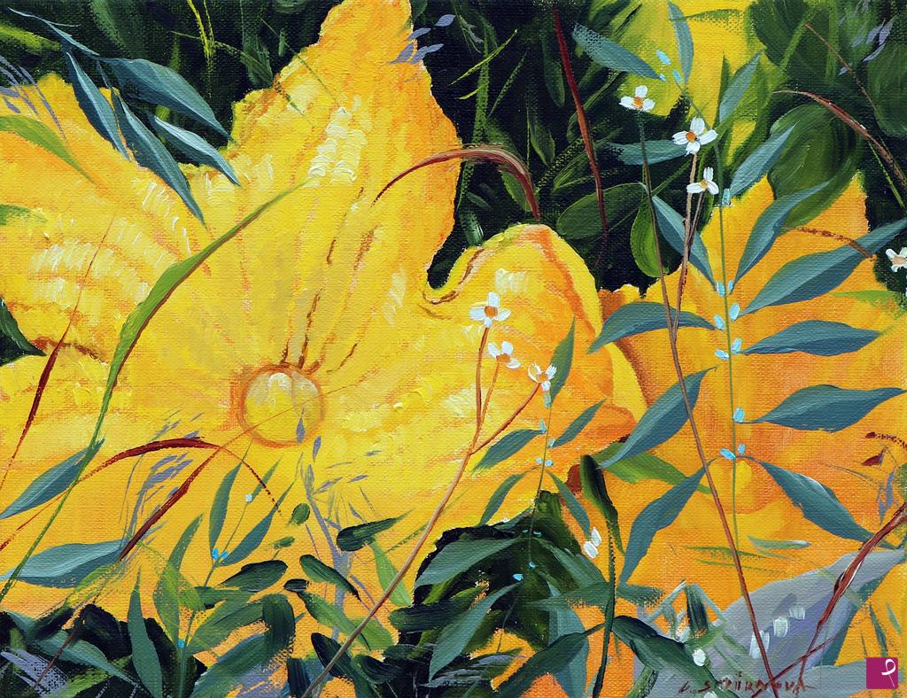 quadri in vendita online - Fiori di zucca