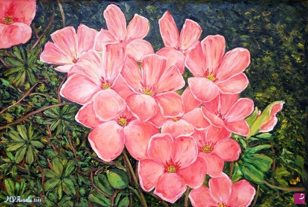 quadri in vendita online - fiori OXALIS CM 40X60