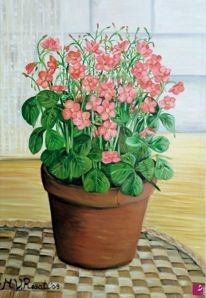 quadri in vendita online - FIORI OXALIS DEPPEI