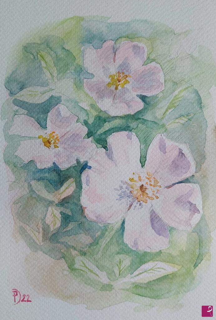 quadri in vendita online - Fiori rosa
