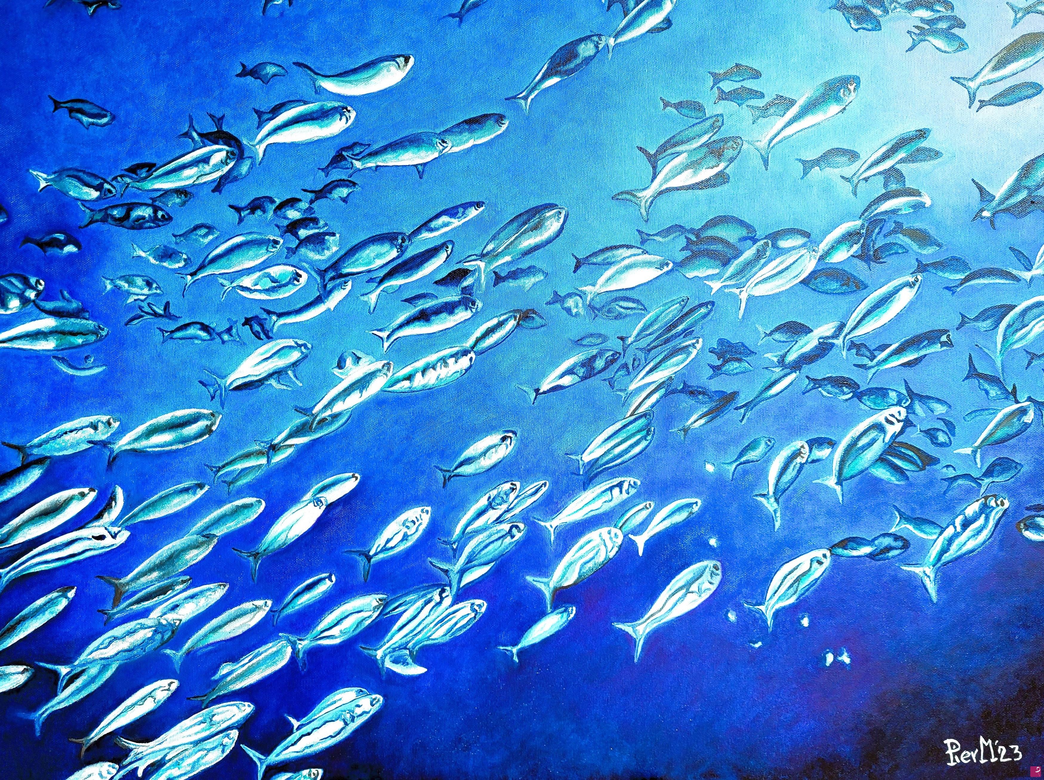 quadri in vendita online - Fishes Shoal 