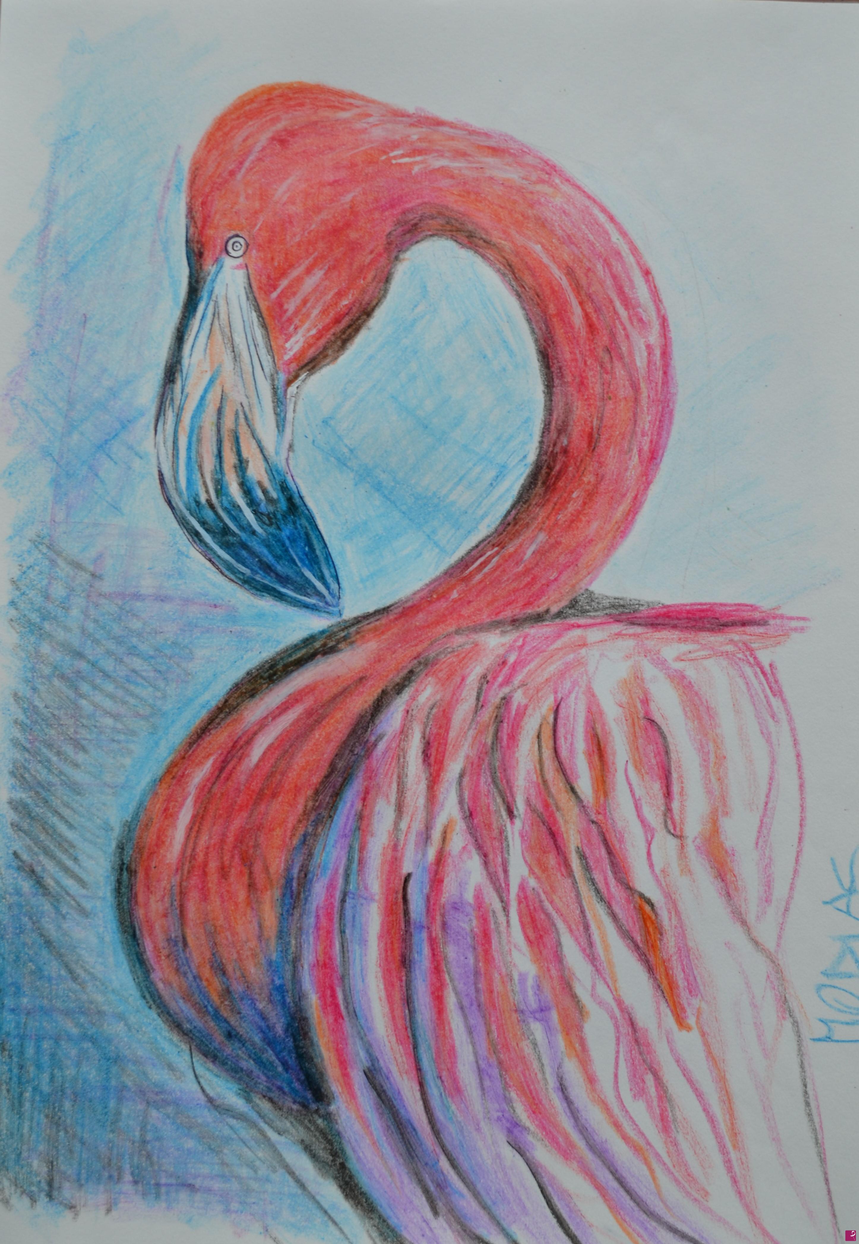 quadri in vendita online - Flamingo