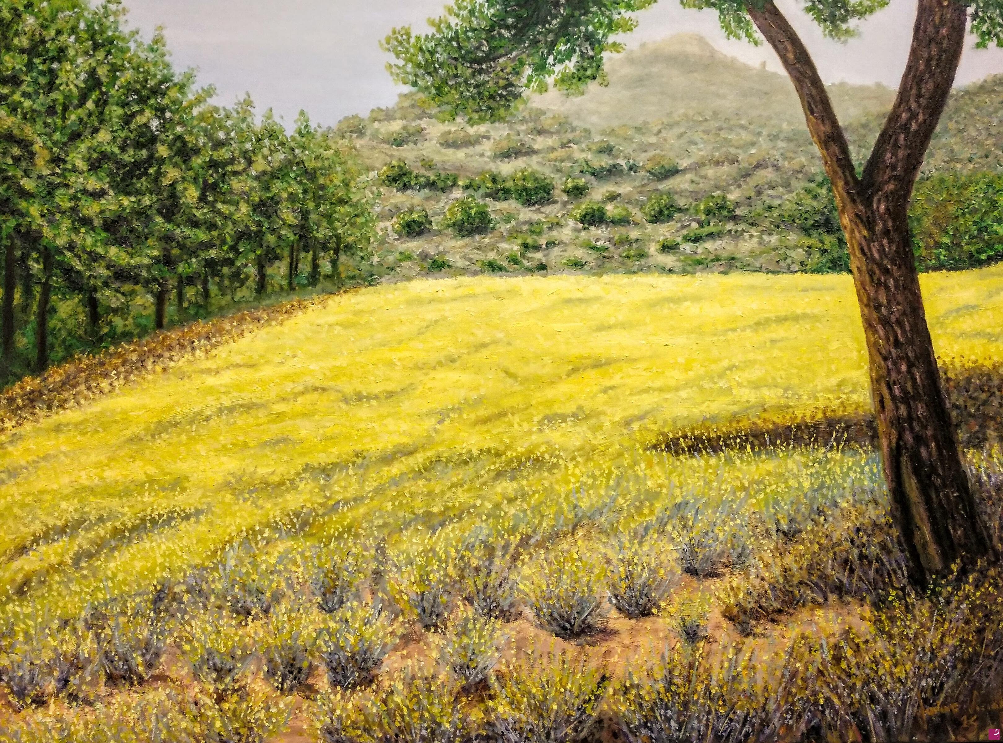 quadri in vendita online - Florada de primavera