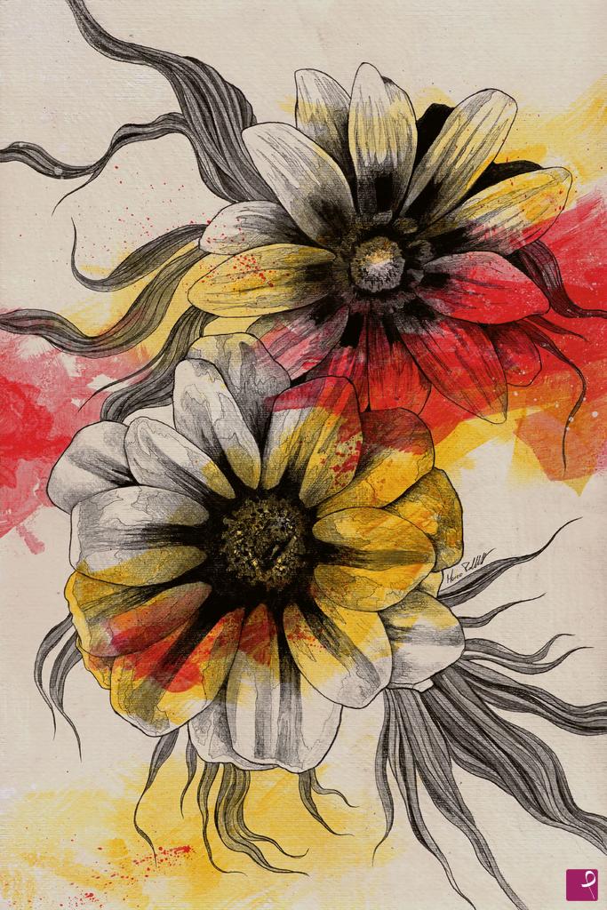 quadri in vendita online - Floral Series: Gazania Rigens