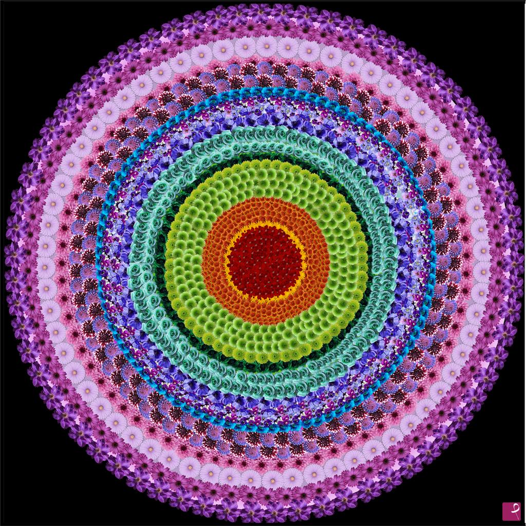 quadri in vendita online - Flowers mandala