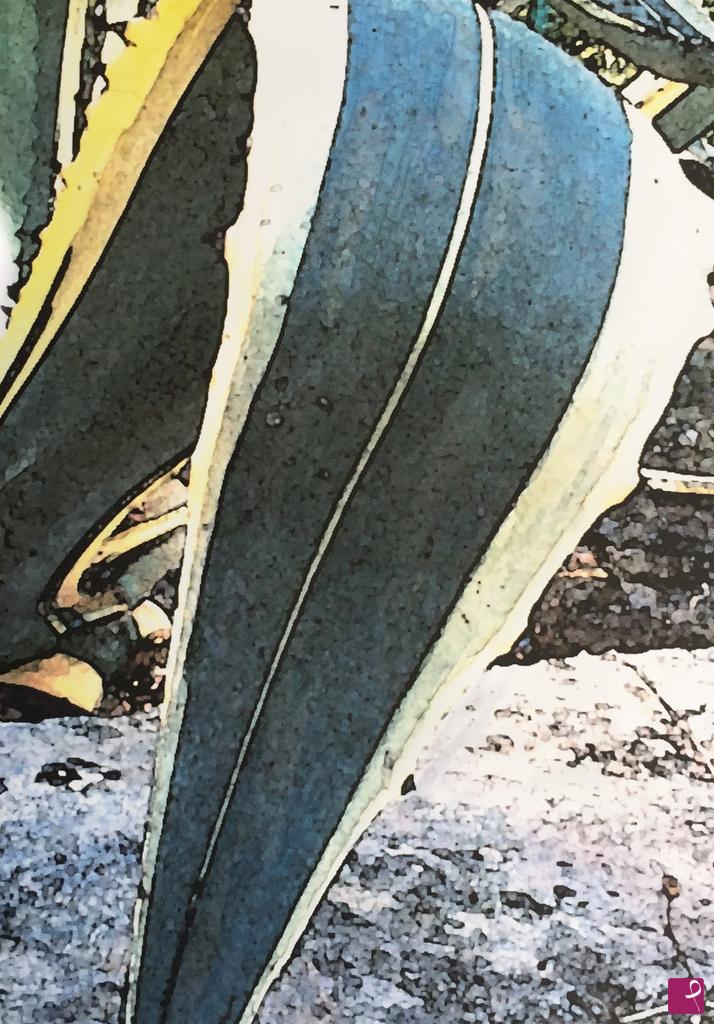 quadri in vendita online - Foglia di agave