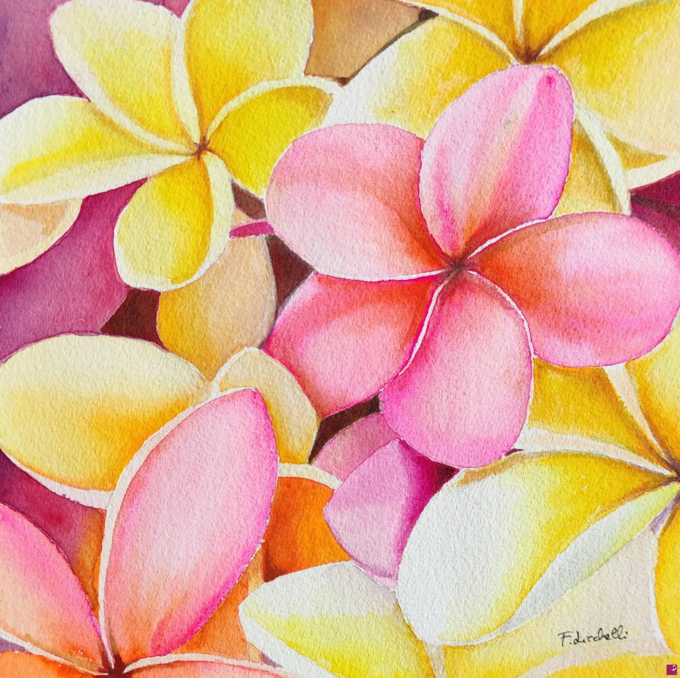 quadri in vendita online - Frangipani