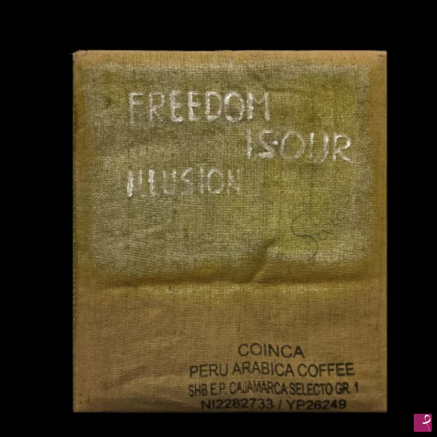 quadri in vendita online - Freedom is our Illusion