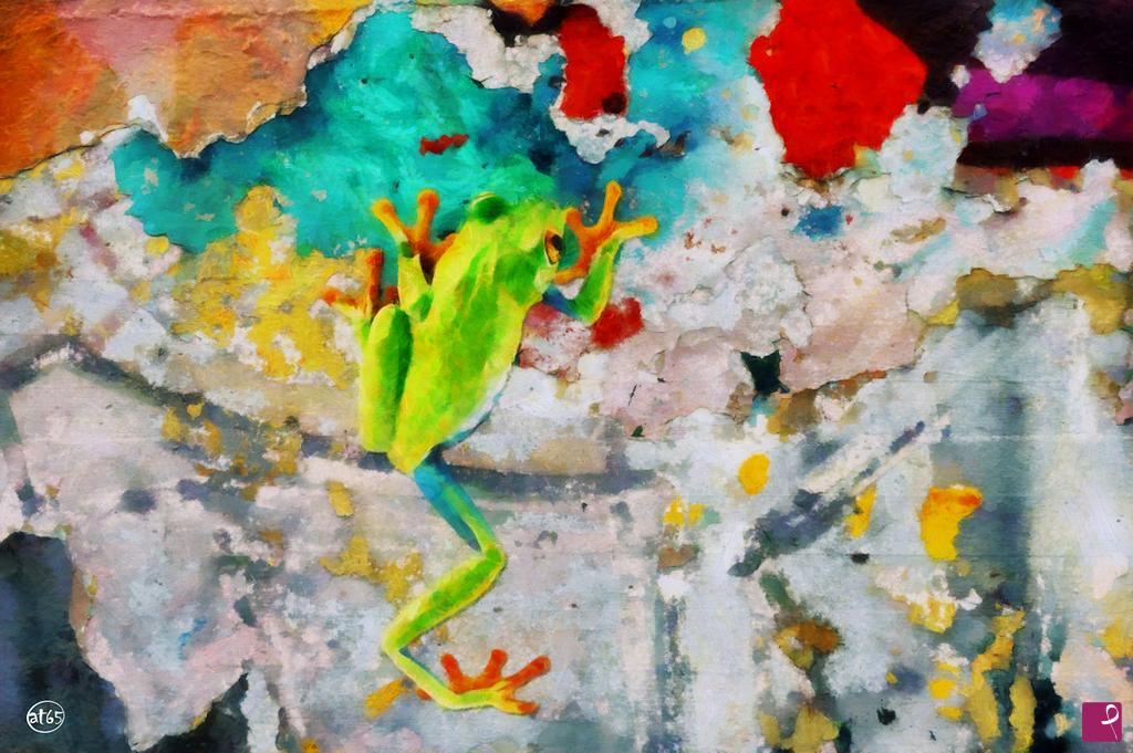 quadri in vendita online - Frog