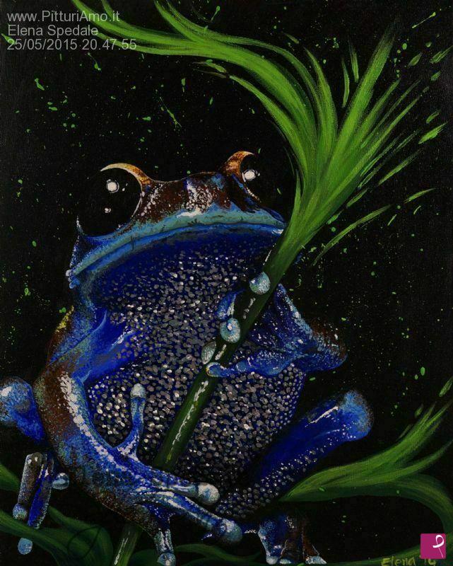 quadri in vendita online - Frog