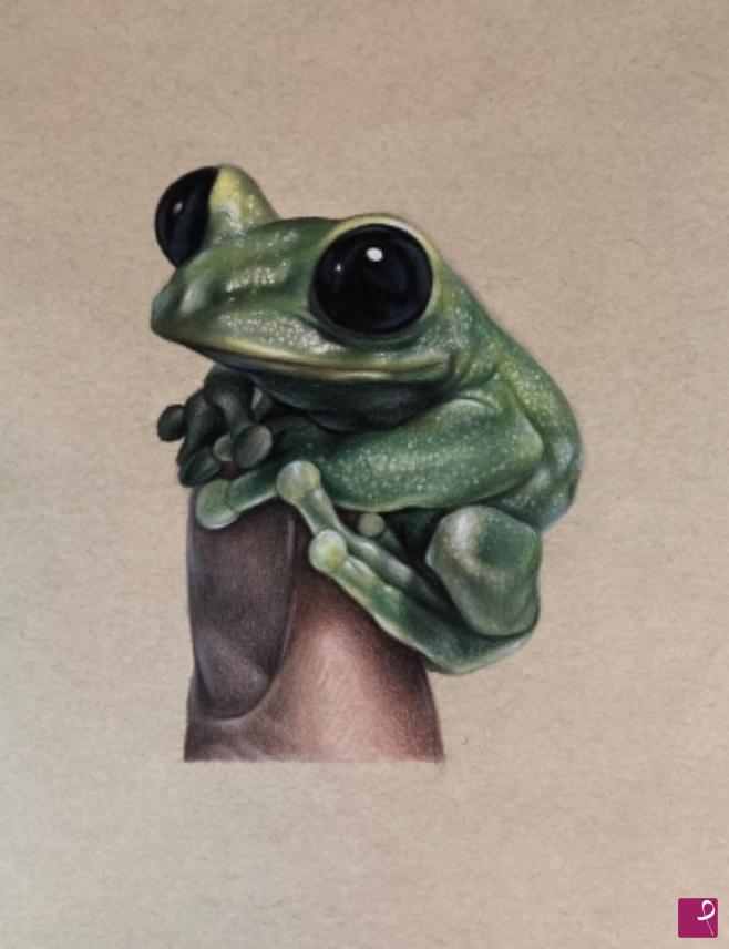 quadri in vendita online - froggy