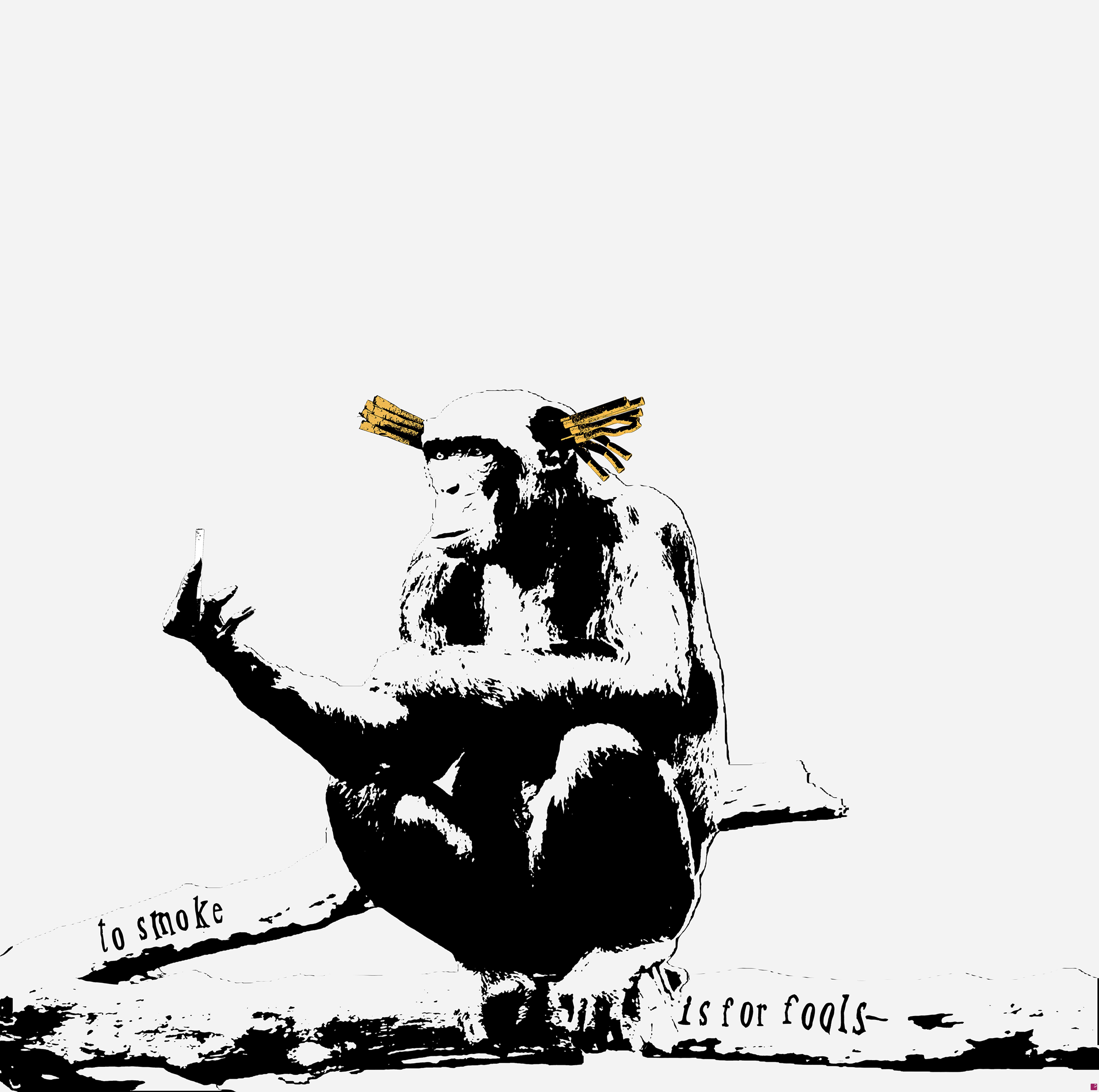 quadri in vendita online - Fumare è da Stupidi (versione no5) - Edizione Limitata a 250