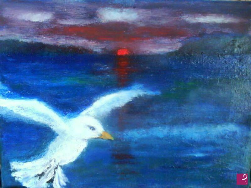 quadri in vendita online - gabbiano al tramonto