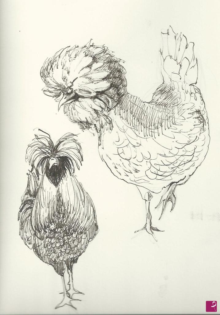 quadri in vendita online - Galline padovane studio