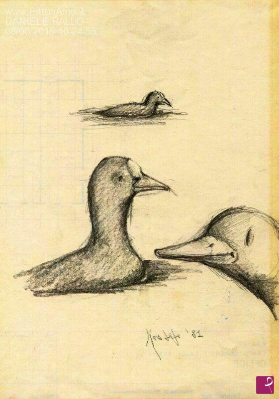 quadri in vendita online - gallinelle d'acqua