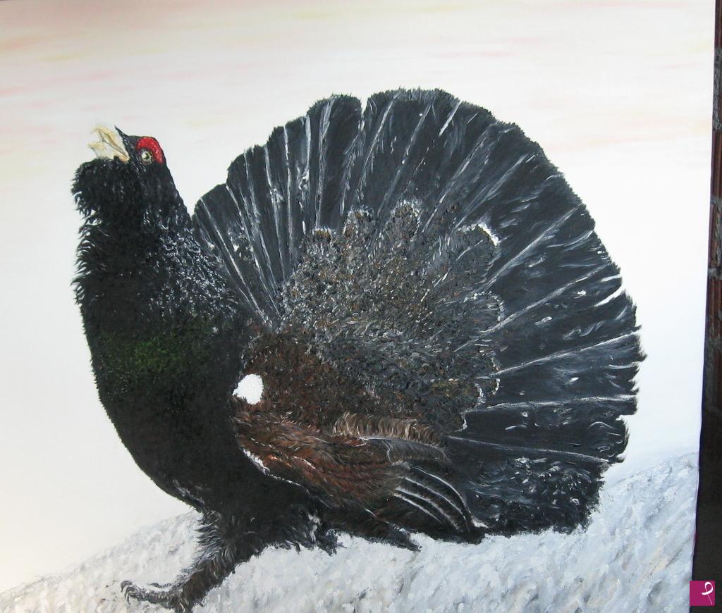 quadri in vendita online - gallo cedrone