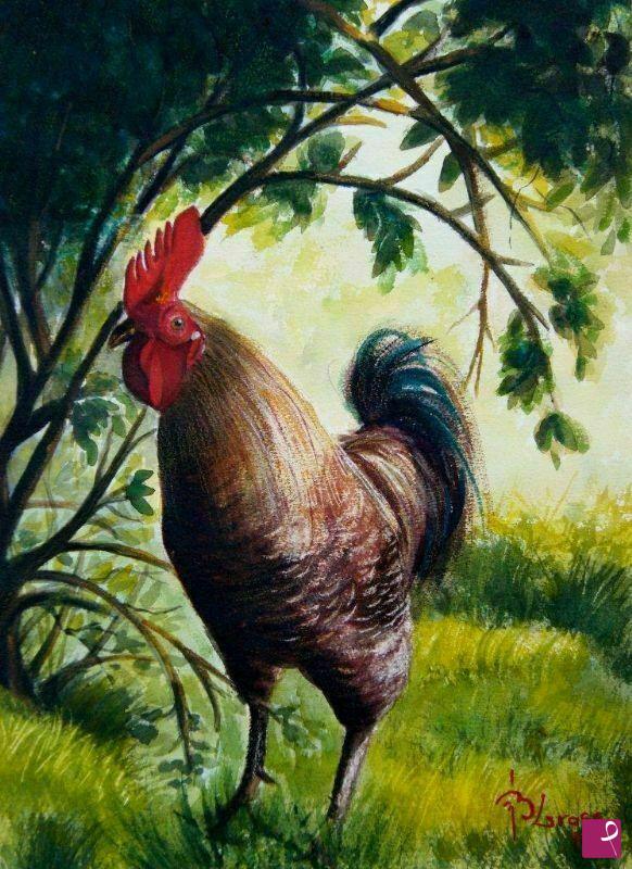 quadri in vendita online - Gallo sotto i cespugli
