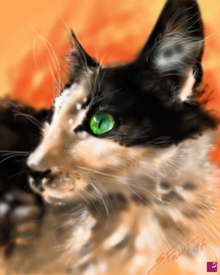 quadri in vendita online - Gatto