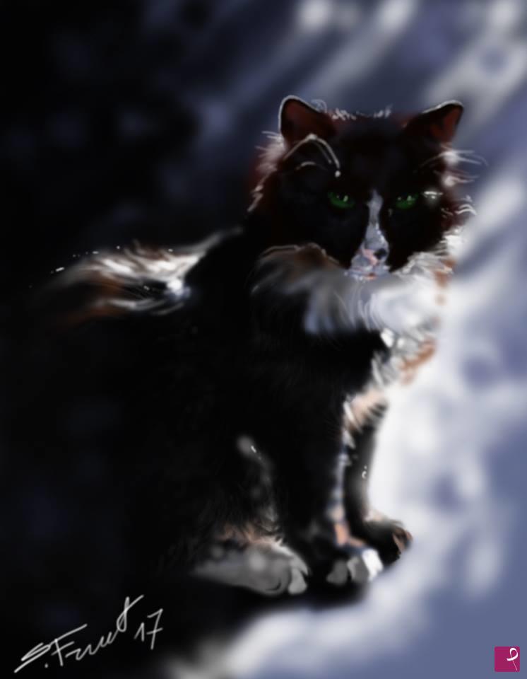 quadri in vendita online - Gatto